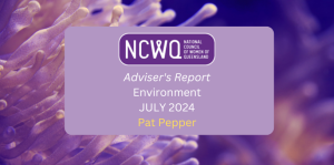 Environment Adviser's Report